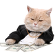 Illustration for article titled How to Make $7500 a Week by Working at Home with Google